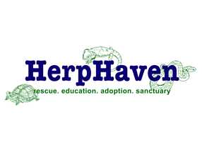 HERP Haven