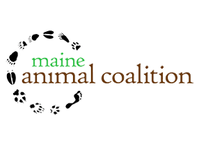 Maine Animal Coalition