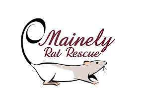 Mainely Rat Rescue